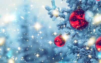 Openingstijden De Tweesprong in de Kerstvakantie